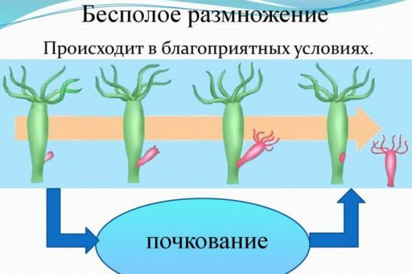 Kraken маркетплейс официальный